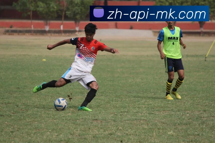 MK体育APP 封面图